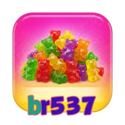 br537